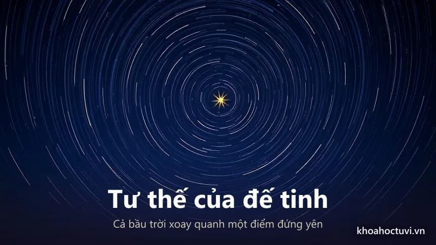Vệt sao dài xoay thành những vòng cung đồng tâm quanh một ngôi sao vàng đứng yên ở tâm bầu trời
