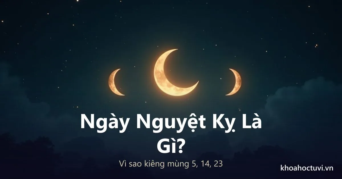 Ngày Nguyệt Kỵ Là Gì? Vì Sao Kiêng Mùng 5, 14, 23