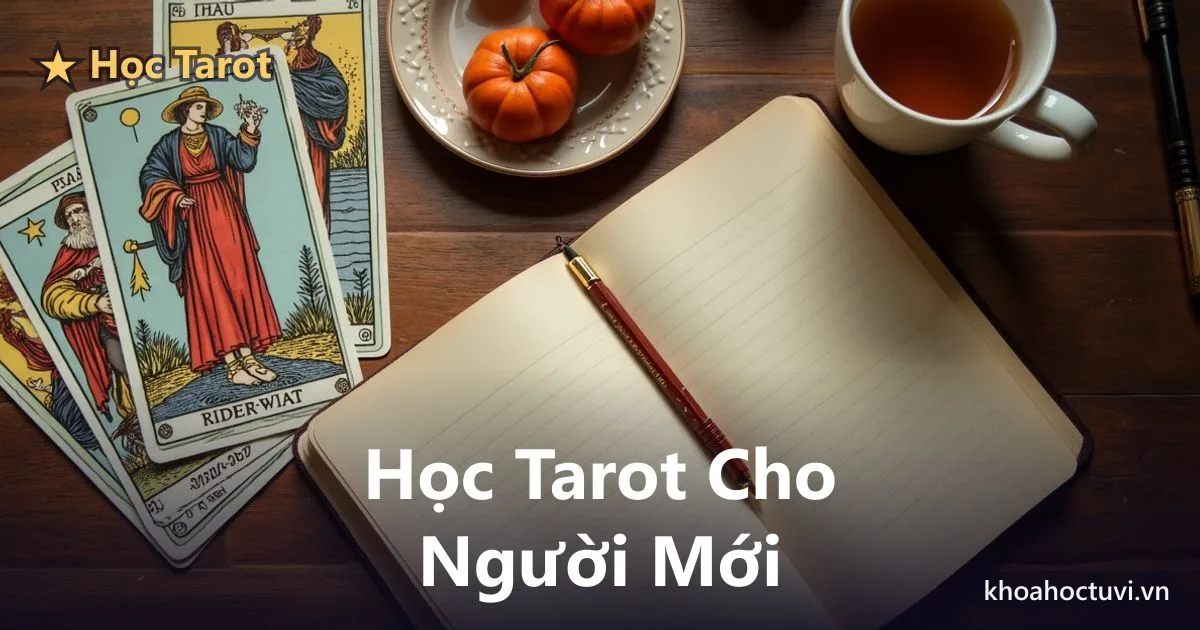 Học Tarot cho người mới: lộ trình từ số 0 đến đọc được bài
