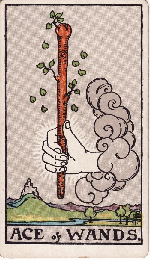 Bốn kiểu xáo bài Tarot khác nhau về độ trộn đều và độ an toàn cho bộ bài