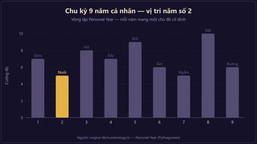 Biểu đồ chu kỳ 9 năm cá nhân với năm số 2 được đánh dấu là giai đoạn gieo mầm bén rễ dưới đất