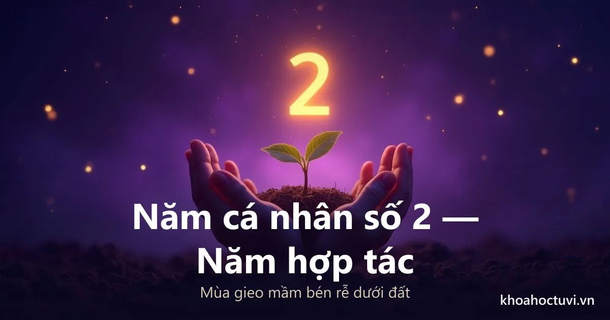 Năm Cá Nhân Số 2: Năm Hợp Tác — Nghệ Thuật Chờ Đợi Và Vun Đắp