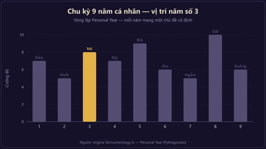 Biểu đồ chu kỳ 9 năm cá nhân với năm số 3 được đánh dấu là giai đoạn đơm hoa rực rỡ đầu chu kỳ