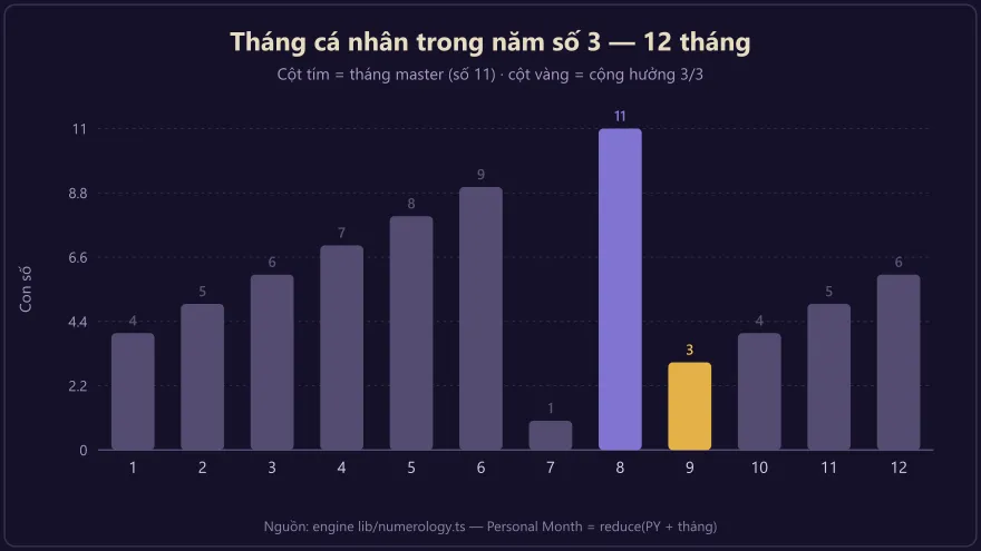 Biểu đồ 12 tháng cá nhân trong năm số 3 với tháng 8 mang số master 11 là đỉnh cảm hứng và tháng 9 cộng hưởng tỏa sáng