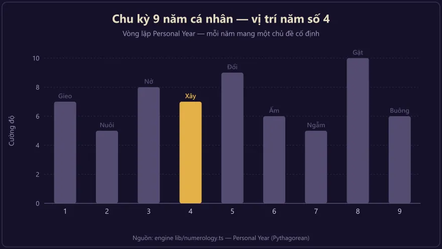 Biểu đồ chu kỳ 9 năm cá nhân với năm số 4 được đánh dấu là giai đoạn xây nền vững chắc