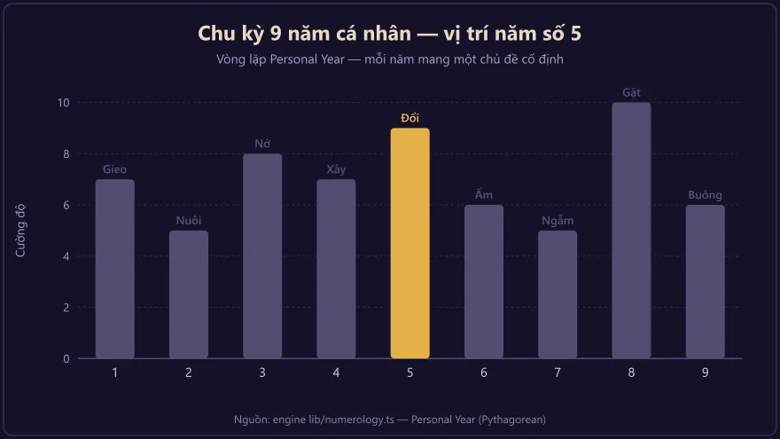 Biểu đồ chu kỳ 9 năm cá nhân với năm số 5 được đánh dấu là điểm bản lề giữa chu kỳ đầy chuyển động