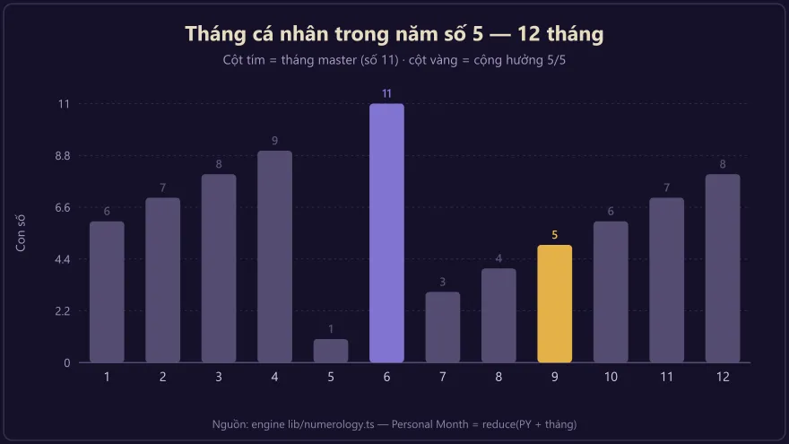 Biểu đồ 12 tháng cá nhân trong năm số 5 với tháng 6 mang số master 11 là đỉnh trực giác và tháng 9 cộng hưởng phiêu lưu