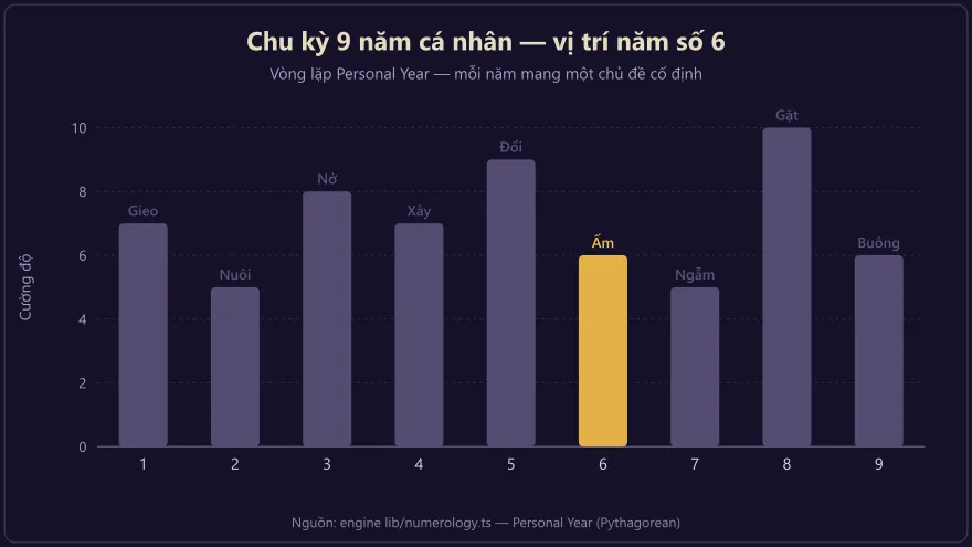Biểu đồ chu kỳ 9 năm cá nhân với năm số 6 được đánh dấu là giai đoạn tổ ấm gắn kết
