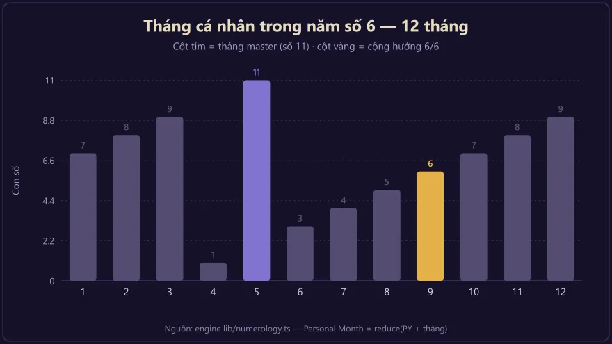 Biểu đồ 12 tháng cá nhân trong năm số 6 với tháng 5 mang số master 11 là đỉnh trực giác về gia đình và tháng 9 cộng hưởng trách nhiệm
