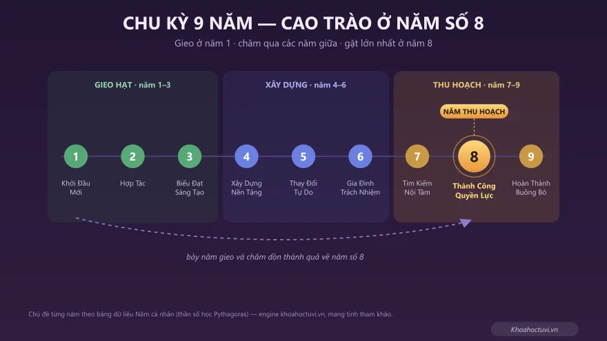 Biểu đồ chu kỳ 9 năm cá nhân trong thần số học với năm cá nhân số 8 được đánh dấu là cao trào thu hoạch