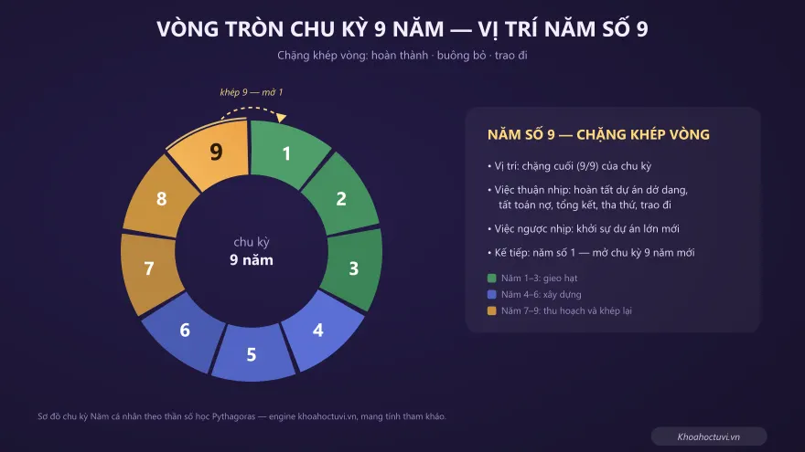 Biểu đồ vòng tròn chu kỳ 9 năm cá nhân với năm số 9 được đánh dấu ở vị trí khép vòng