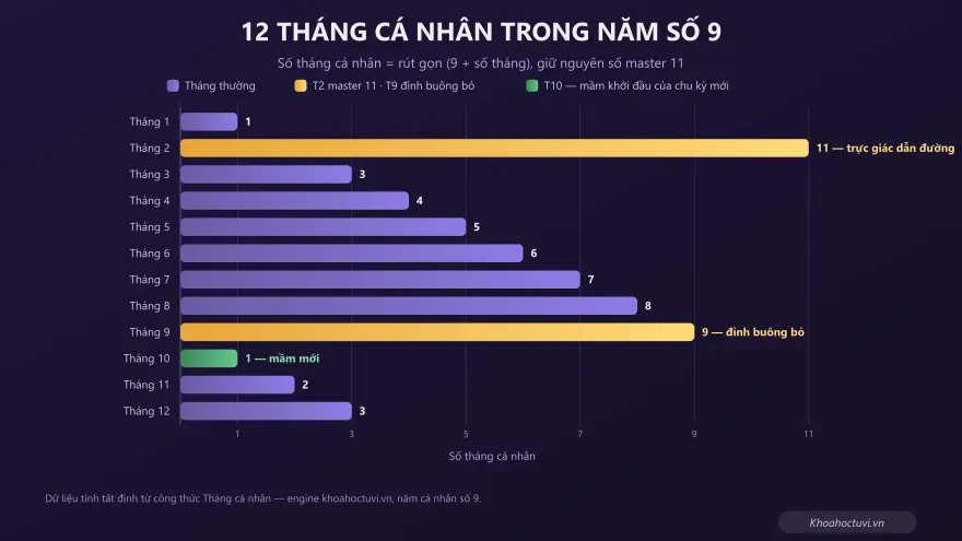 Biểu đồ 12 tháng cá nhân trong năm số 9 với tháng 2 master 11, tháng 9 đỉnh buông bỏ và tháng 10 mầm khởi đầu