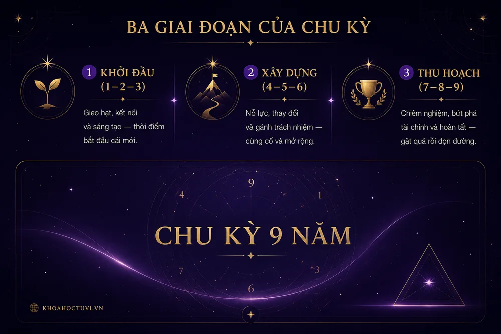 Ba giai đoạn chu kỳ 9 năm — khởi đầu, xây dựng, thu hoạch