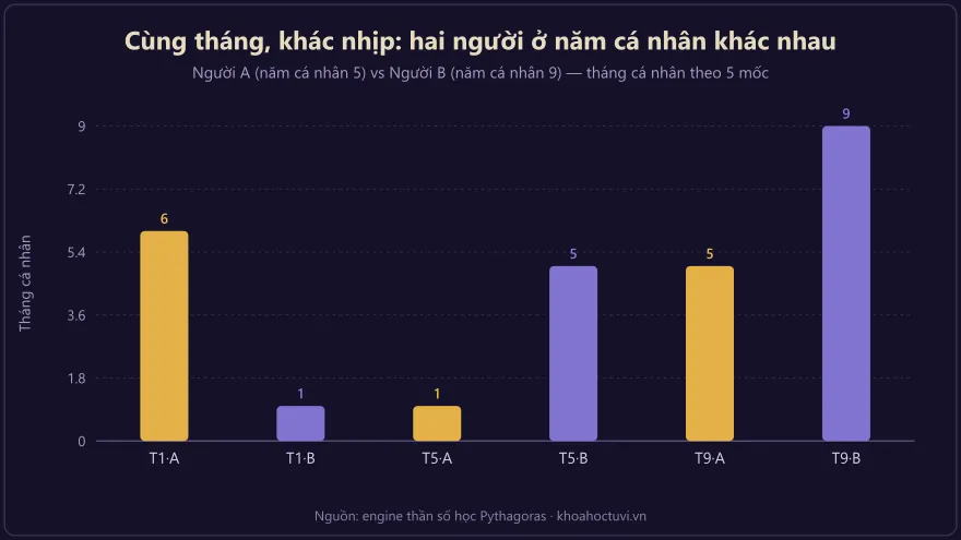 Biểu đồ cột so sánh nhịp mười hai tháng cá nhân của hai người ở năm cá nhân khác nhau
