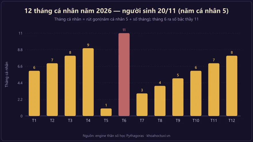Biểu đồ cột mười hai tháng cá nhân của người sinh ngày 20/11 trong năm 2026