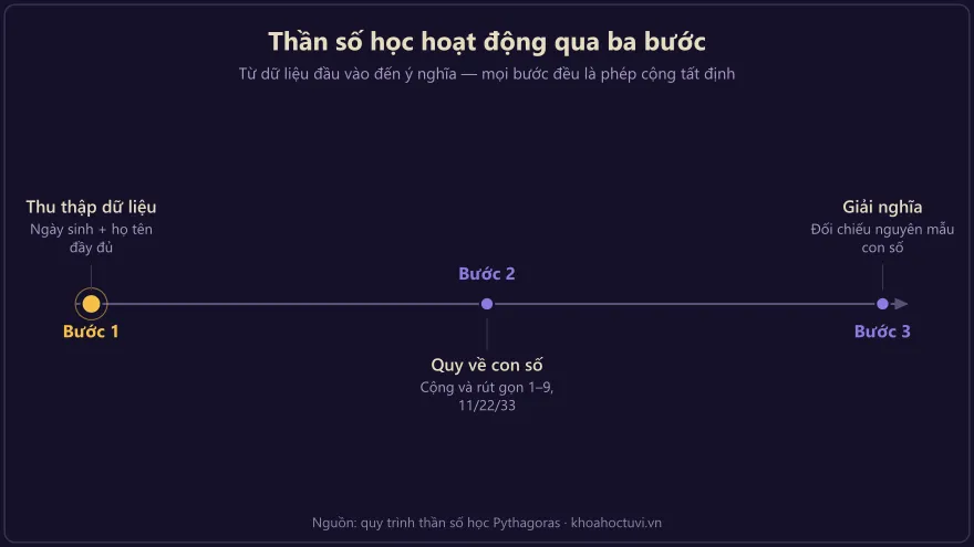 Sơ đồ dòng thời gian ba bước hoạt động của thần số học từ dữ liệu đến ý nghĩa