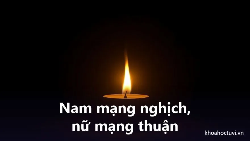 Tuổi Ất Tỵ 1965 nam mạng và nữ mạng — hai chiều Đại Vận và cung phi khác nhau