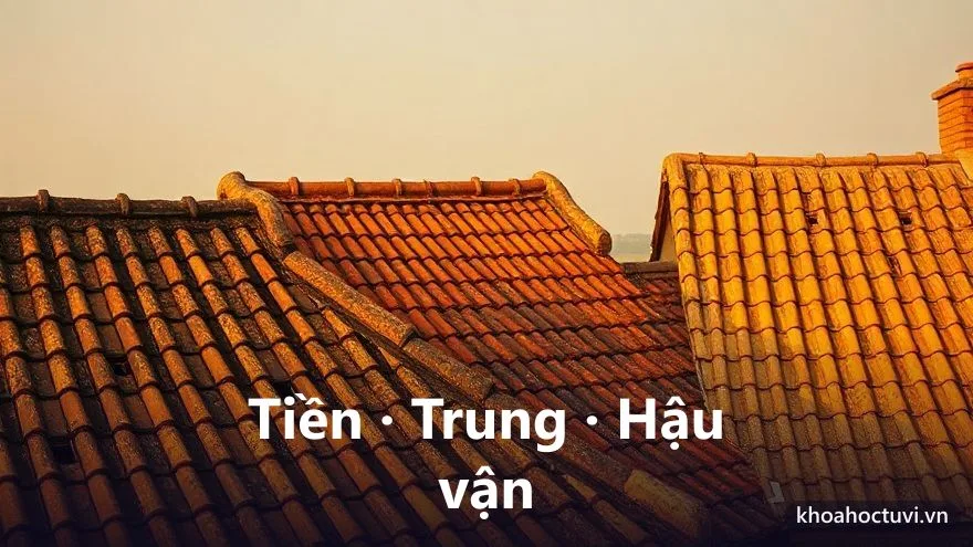 Ba giai đoạn cuộc đời tuổi Bính Tuất — tiền vận, trung vận, hậu vận