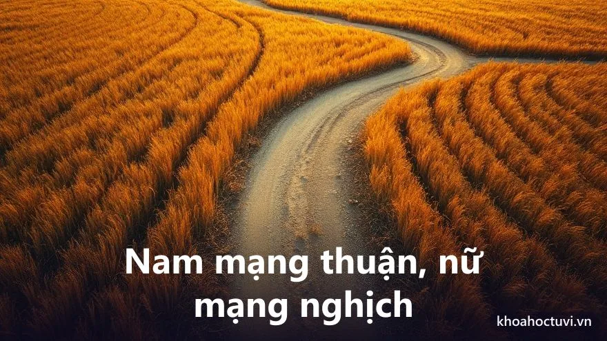 Tuổi Bính Tuất 2006 nam mạng và nữ mạng — hai chiều Đại Vận và cung phi khác nhau