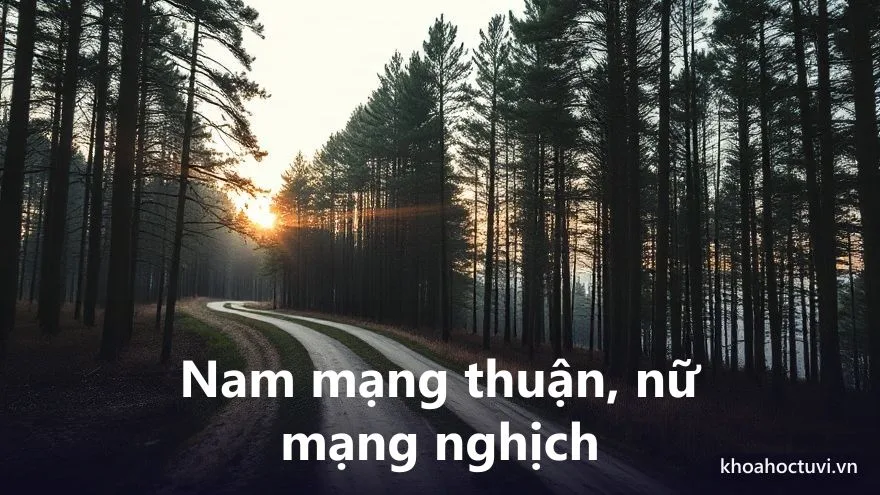 Tuổi Canh Dần 2010 nam mạng và nữ mạng — hai chiều Đại Vận và cung phi khác nhau