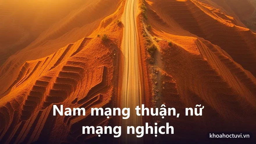 Tuổi Canh Tuất 1970 nam mạng và nữ mạng — hai chiều Đại Vận và cung phi khác nhau