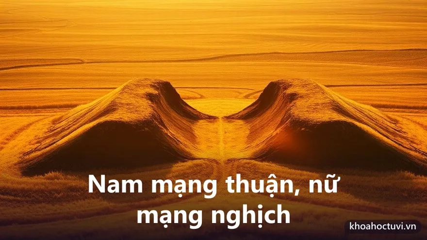Tuổi Canh Tý 1960 nam mạng và nữ mạng — hai chiều Đại Vận và cung phi khác nhau