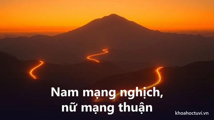 Tuổi Đinh Dậu 1957 nam mạng và nữ mạng — hai chiều Đại Vận và cung phi khác nhau