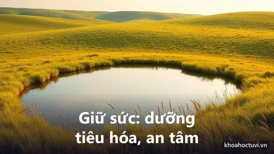 Sức khỏe và tuổi thọ người tuổi Đinh Mùi — điểm cần giữ gìn theo mệnh Thiên Hà Thủy