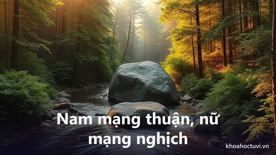 Tuổi Giáp Dần 1974 nam mạng và nữ mạng — hai chiều Đại Vận và cung phi khác nhau
