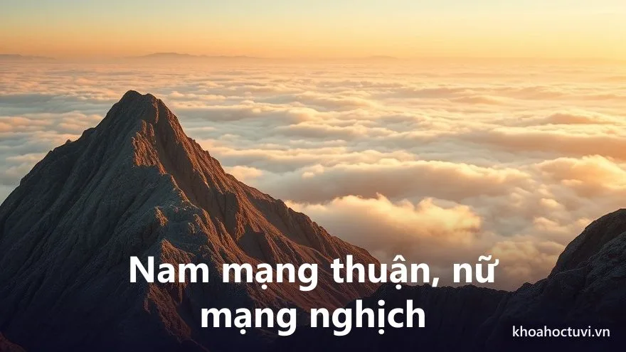Tuổi Giáp Thân 2004 nam mạng và nữ mạng — hai chiều Đại Vận và cung phi khác nhau