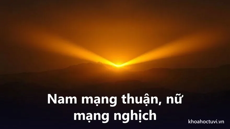 Tuổi Giáp Thìn 1964 nam mạng và nữ mạng — hai chiều Đại Vận và cung phi khác nhau