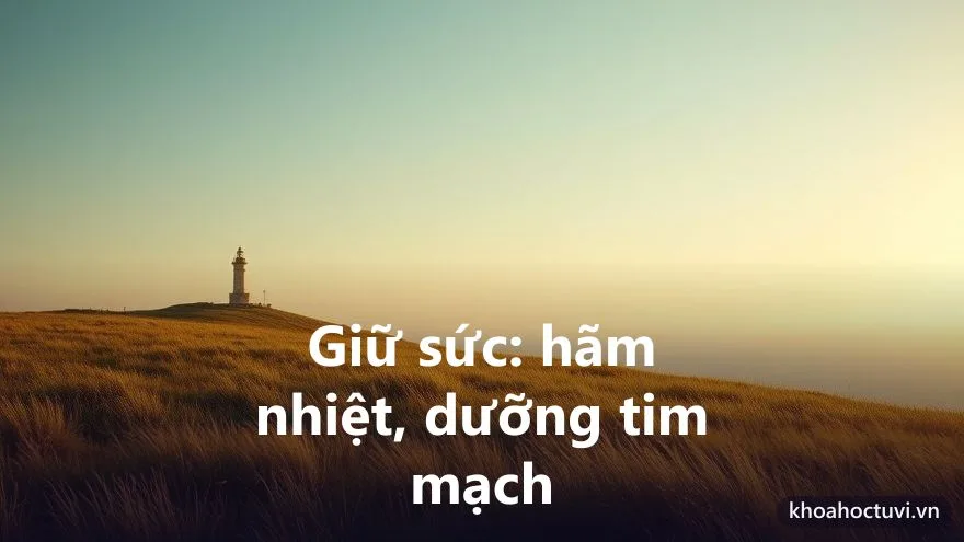 Sức khỏe và tuổi thọ người tuổi Giáp Thìn — điểm cần giữ gìn theo mệnh Phú Đăng Hỏa