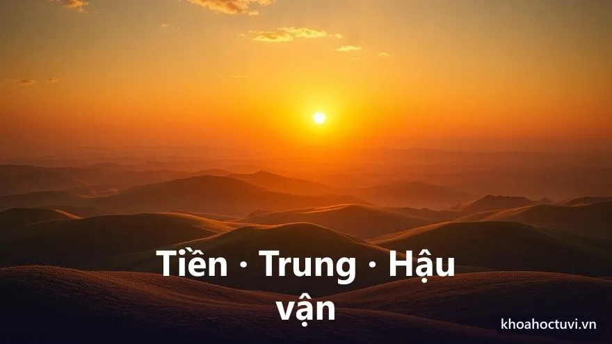 Ba giai đoạn cuộc đời tuổi Kỷ Mùi — tiền vận, trung vận, hậu vận
