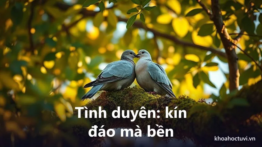 Tình duyên và hôn nhân người tuổi Kỷ Tỵ — hợp tuổi Dậu, Sửu, Thân
