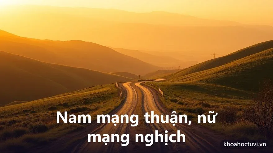 Tuổi Mậu Thân 1968 nam mạng và nữ mạng — hai chiều Đại Vận và cung phi khác nhau