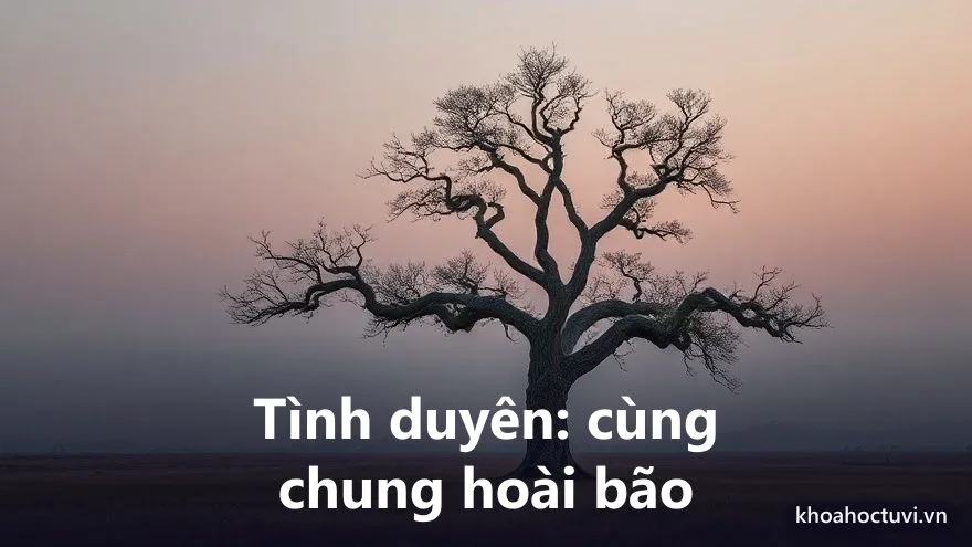 Tình duyên và hôn nhân người tuổi Mậu Thìn — hợp tuổi Thân, Tý, Dậu