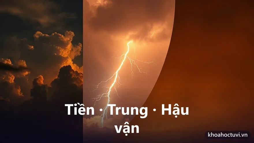 Ba giai đoạn cuộc đời tuổi Mậu Tý — tiền vận, trung vận, hậu vận