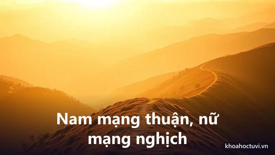 Tuổi Nhâm Dần 1962 nam mạng và nữ mạng — hai chiều Đại Vận và cung phi khác nhau