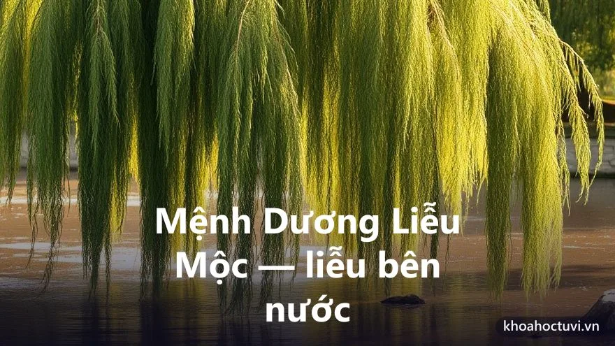 Mệnh Dương Liễu Mộc của người tuổi Nhâm Ngọ — ý nghĩa ngũ hành Mộc