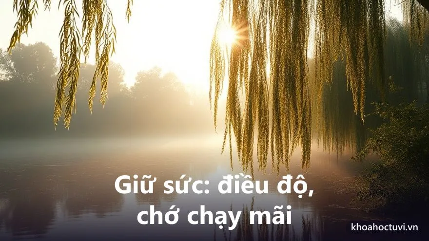 Sức khỏe và tuổi thọ người tuổi Nhâm Ngọ — điểm cần giữ gìn theo mệnh Dương Liễu Mộc