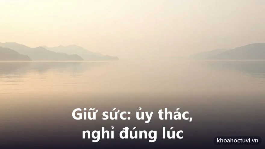 Sức khỏe và tuổi thọ người tuổi Nhâm Thìn — điểm cần giữ gìn theo mệnh Trường Lưu Thủy