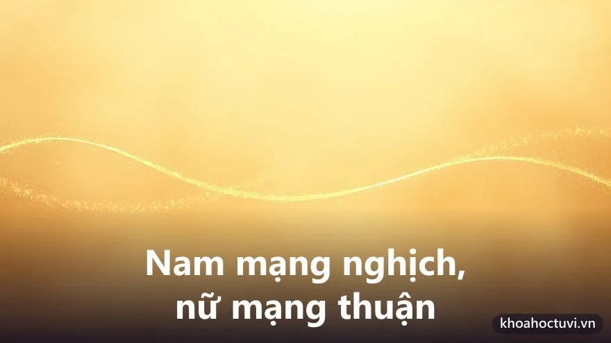 Tuổi Quý Mão 1963 nam mạng và nữ mạng — hai chiều Đại Vận và cung phi khác nhau