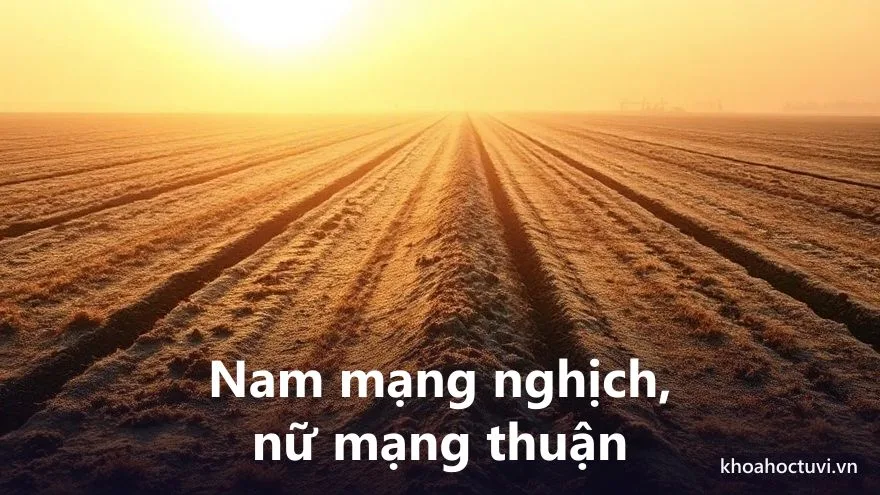 Tuổi Quý Sửu 1973 nam mạng và nữ mạng — hai chiều Đại Vận và cung phi khác nhau