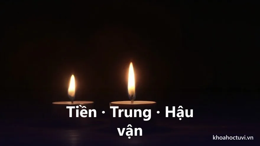 Ba giai đoạn cuộc đời tuổi Tân Tỵ — tiền vận, trung vận, hậu vận