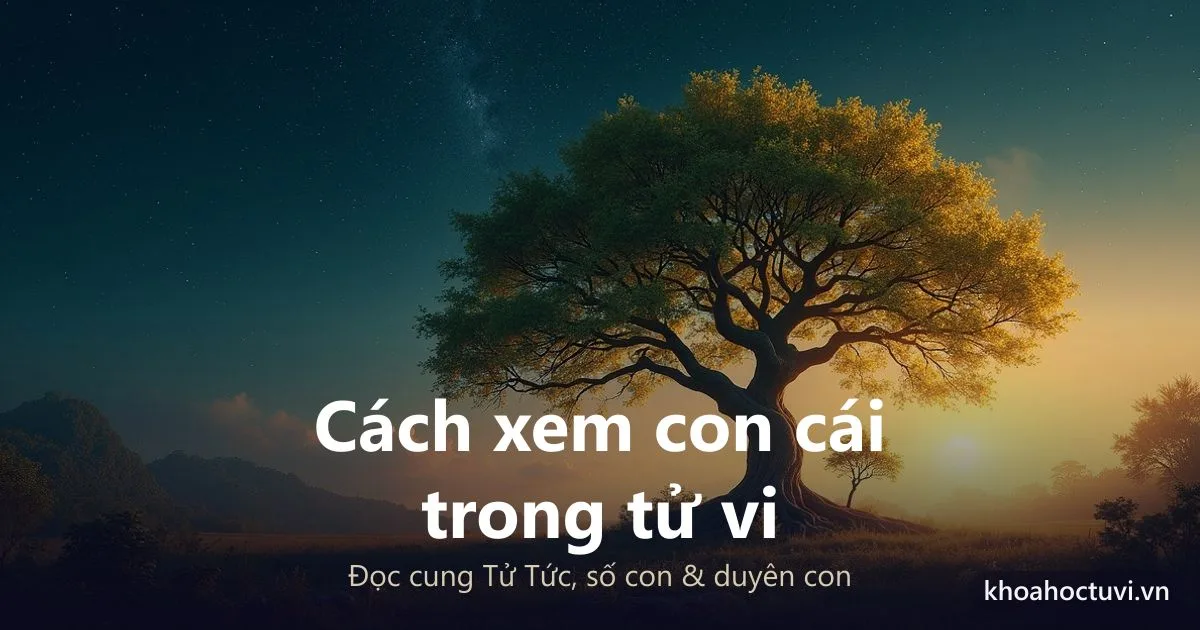 Cách xem con cái trong tử vi: đọc cung Tử Tức, số con và duyên con
