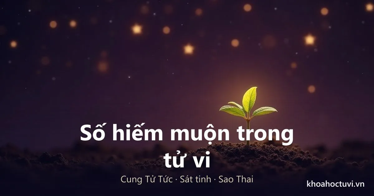 Cách Xem Số Hiếm Muộn Trong Tử Vi: Đọc Cung Tử Tức Và Sát Tinh