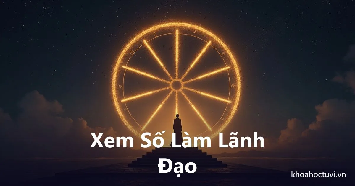 Minh họa số lãnh đạo và tiềm năng cần rèn giũa mới phát trên lá số