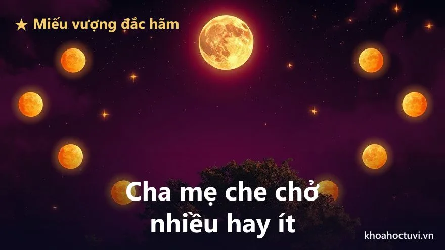 Một ngôi sao chính tỏa các cấp độ ánh sáng khác nhau phía trên một tán cây đại thụ che bóng, tượng trưng mức miếu vượng đắc hãm của chính tinh cung Phụ Mẫu quyết định sự che chở của cha mẹ trên nền trời tím trong tử vi