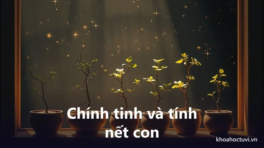 Kệ gỗ ấm áp bày những chồi non trong chậu đất khác nhau dưới nắng dịu, mỗi chồi một dáng