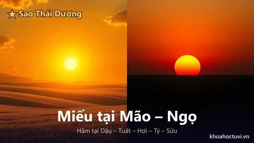 Sao Thái Dương miếu vượng tại Mão – Ngọ (mặt trời ban ngày) và hãm tại Dậu – Tuất – Hợi – Tý – Sửu (mặt trời ban đêm)